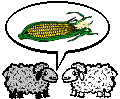 and finally...corn