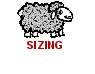 Sizing