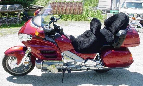 A CUSTOM SEATCOVER ON A 2001 HONDA GOLDWING 1800GL