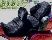 CUSTOM MOTORCYCLE SEAT COVER