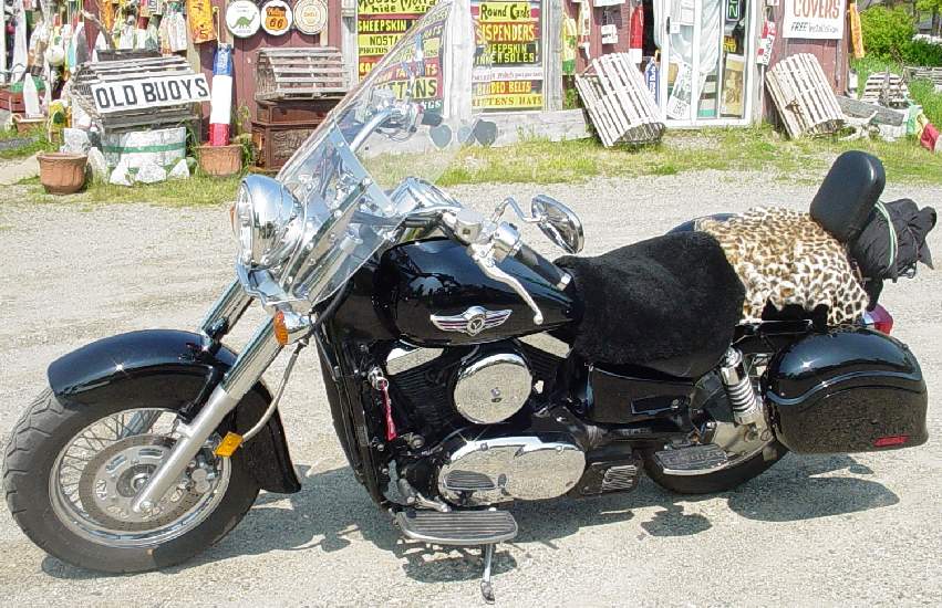 elskerinde grus lure Motorcycle Seat Cover Customers - Will & Sonya Haynes Surry, Maine