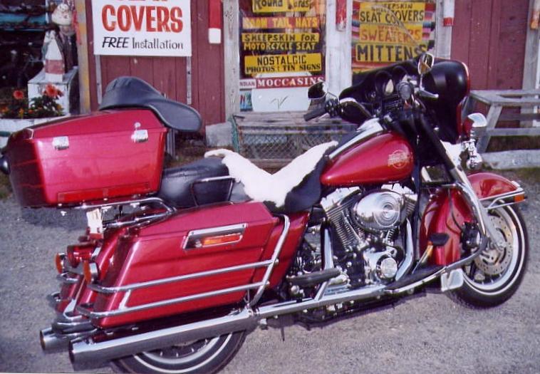 red Rented motorcyle