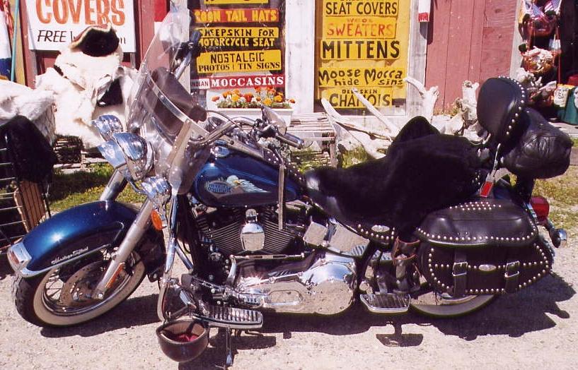 2002 HD Heritage Softtail