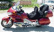 2001 Honda Goldwing