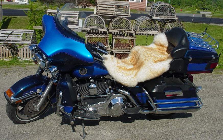 Motorcycle Seat Cover Customers Alicia Mike Mattoon Spokane Wa - Sheepskin Seat Covers For Harley Davidson