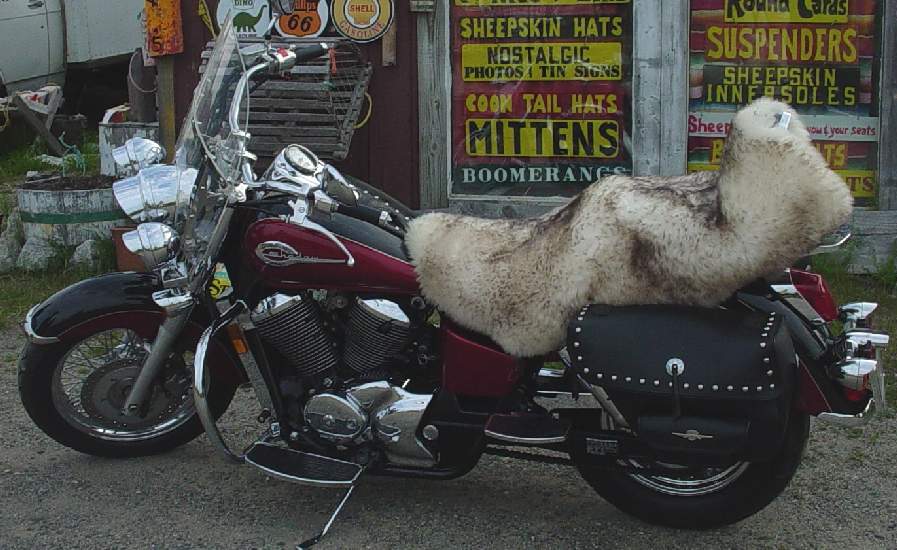 Motorcycle Seat Cover Customers Aline George Richard From Moncton N B Canada - Motorcycle Sheepskin Seat Covers Canada