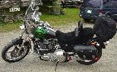 Maureen & Bob McClain's 1999 Harley Davidson
