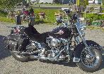 udy & Jacob Newall's 2000 HD Heritage Softail