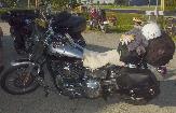 Joyce from Wisconsin's 2003 Harley Davidson Low Rider