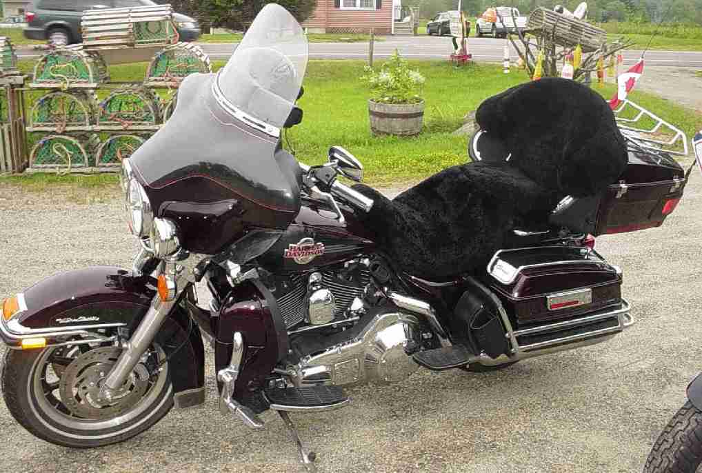 Motorcycle Seat Cover Customers Donna Roy Folkes Grand Falls Windsor New Foundland Canada - Sheepskin Seat Covers For Harley Davidson