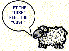 CUSH FOR THE TUSH